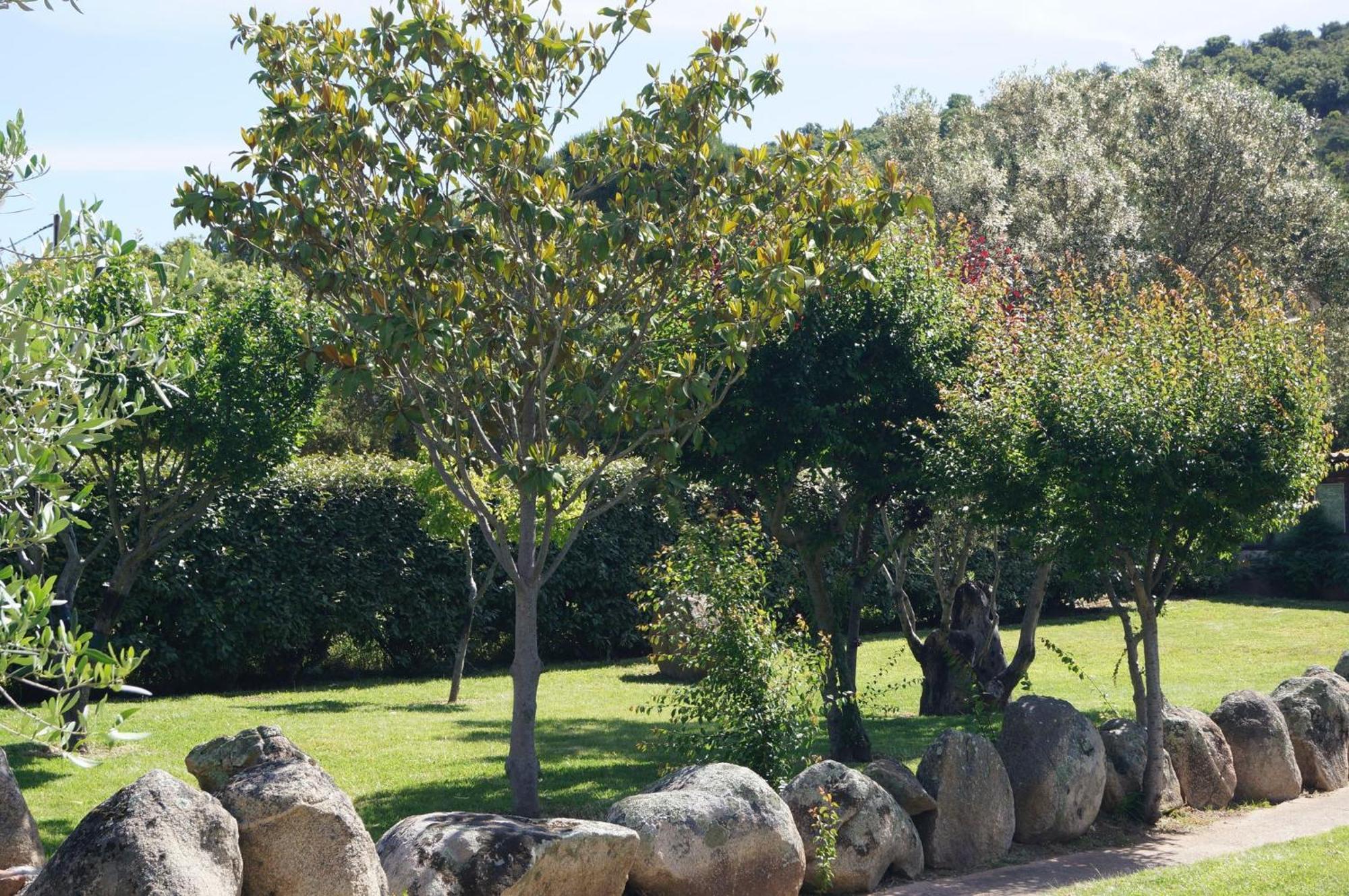 Les Jardins De Santa Giulia - Charmante Chambre D'Hote Porto-Vecchio  Exteriör bild